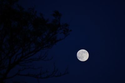 Low angle view of moon in sky