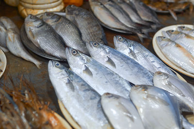 Variety of freshly caught sea fishes, on sale at a fish fry stall in puri beach, odisha.