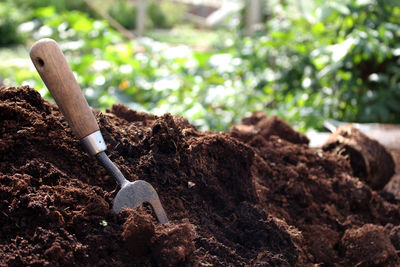 Close-up of rake in soil