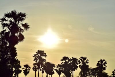 Low angle view of silhouette trees against sky during sunset