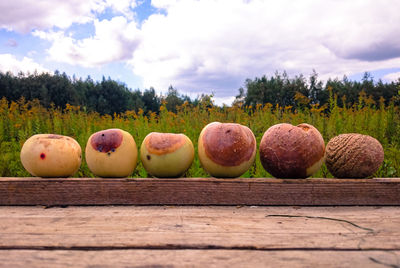 Close-up of food