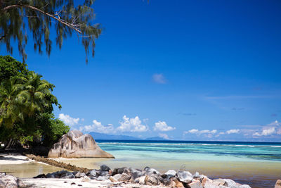 Scenic view of sea against blue sky