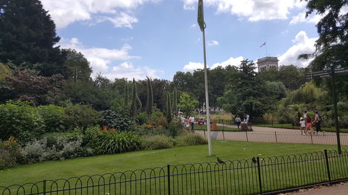 Trees and grass against sky