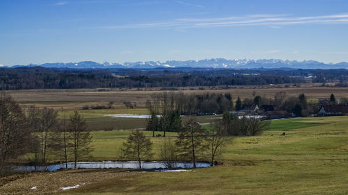 Scenic view of field against sky
