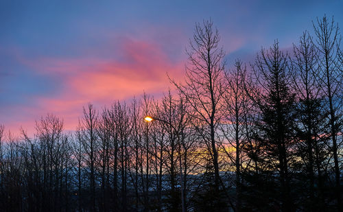 Low angle view of silhouette bare trees against sky during sunset