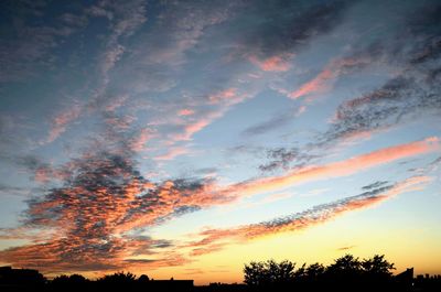 Low angle view of silhouette trees against dramatic sky