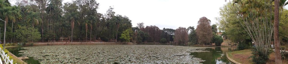 Scenic view of lake in forest against clear sky