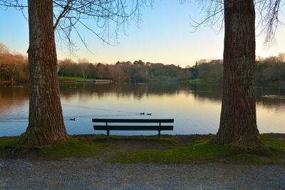 View of calm lake with trees in background