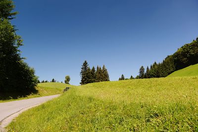 Scenic view of field against clear blue sky