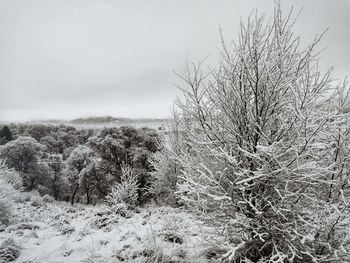 winter