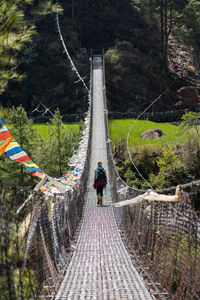 Footbridge amidst trees in forest