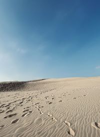 land