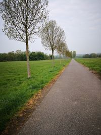 Road amidst trees on field against sky