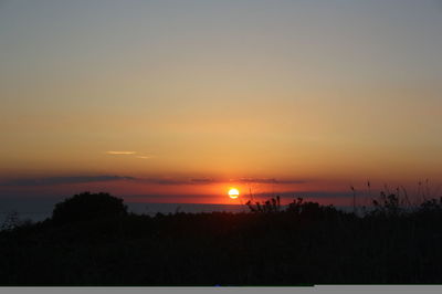 Silhouette of trees at sunset