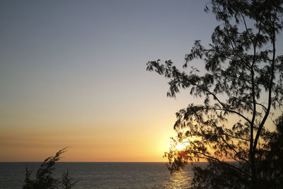 Silhouette tree by sea against sky during sunset