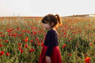 Girl standing on poppy field