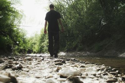 Rear view of man walking in stream at forest