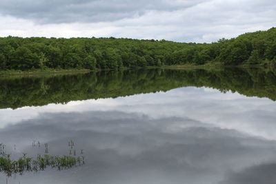 Reflection of trees in lake against sky