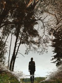 Rear view of woman photographing against trees