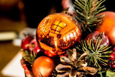 Close-up of christmas tree