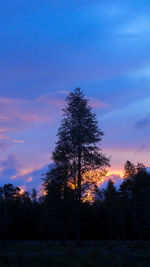 Low angle view of silhouette tree on field against sky at sunset
