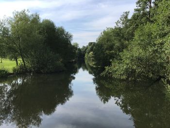 Reflection of trees in lake against sky