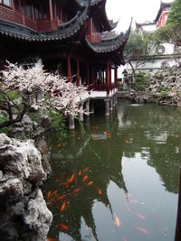 Reflection of built structure in water