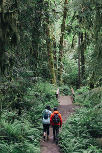 A young couple enjoys a hike in a forest in the pacific northwest.