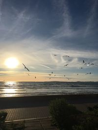 Birds flying over sea against sky