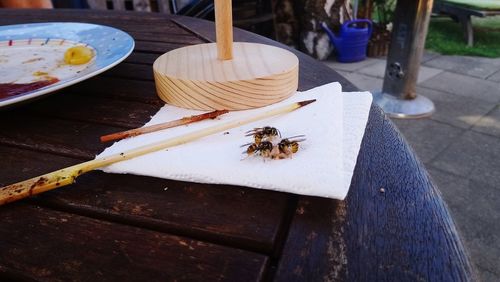 High angle view of bee on table