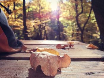 Low section of man with autumn leaves