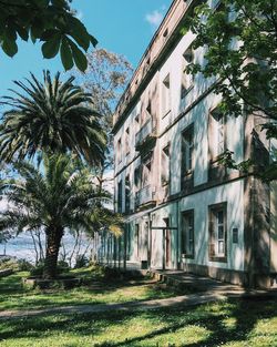 Buildings with trees in background