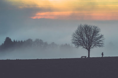 Silhouette trees on landscape against sky at sunset