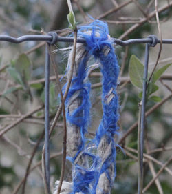 Close-up of blue lizard on tree