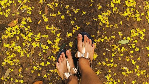 yellow