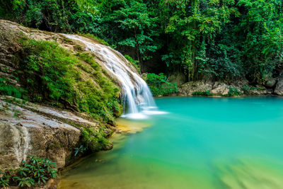 Waterfall in forest