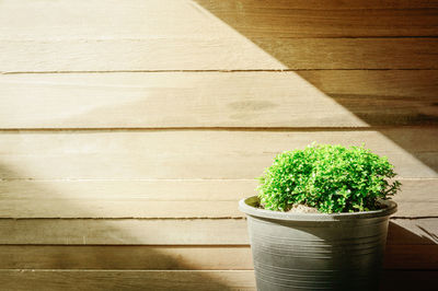 Close-up of potted plant against wooden wall on porch