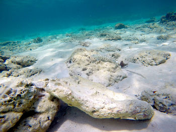 Scenic view of sea and rocks