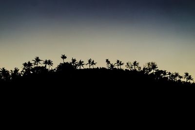 Silhouette of palm trees against clear sky