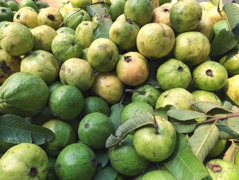 Full frame shot of apples