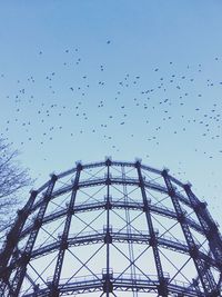 Low angle view of birds flying against sky