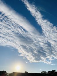 Low angle view of silhouette trees against blue sky