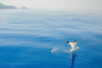 View of sea against blue sky