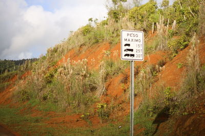 Information sign by trees against sky