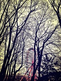 Low angle view of bare trees against sky