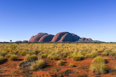 Scenic view of landscape against clear blue sky