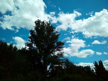 Low angle view of trees against cloudy sky