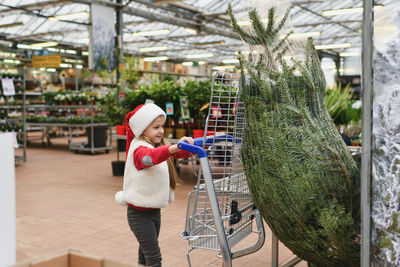 Small girl chooses a christmas tree in the market.