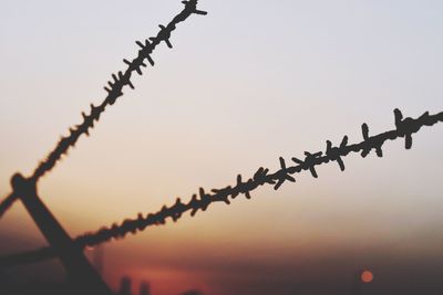 Low angle view of silhouette barb wires against clear sky during sunset