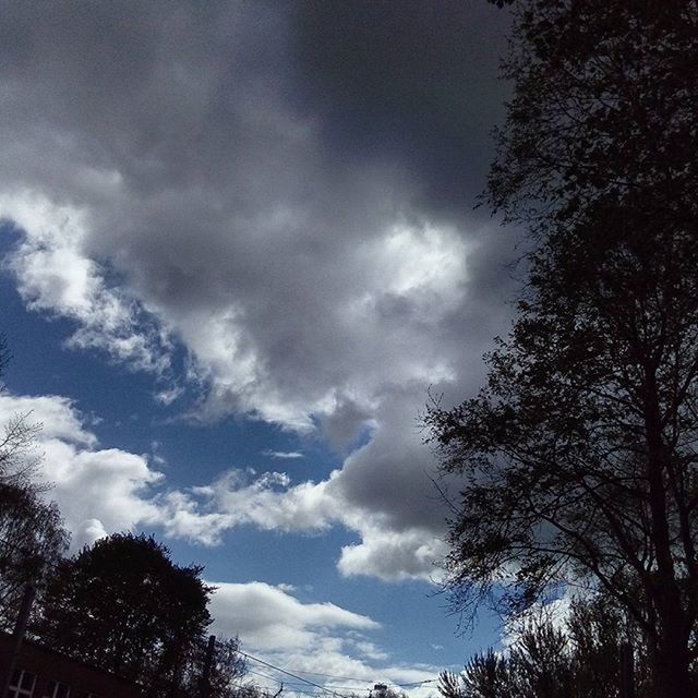 tree, low angle view, sky, cloud - sky, silhouette, tranquility, cloudy, nature, beauty in nature, cloud, scenics, branch, growth, tranquil scene, high section, treetop, outdoors, no people, day, blue